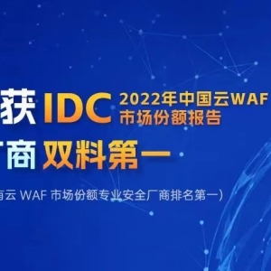 知道创宇获IDC 2022中国云WAF市场专业安全厂商领域双料冠军