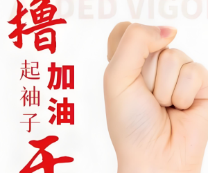 做站也好，做自媒体也好，做电商也好，关键在做