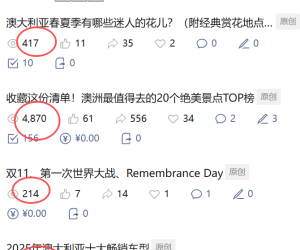 让你们看看什么叫过山车式的流量