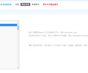 【可可】插件绑域名 8.210928(keke_domain)