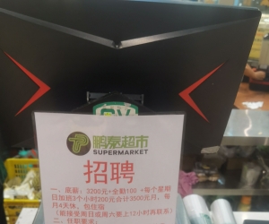 不做站长的话 做苦力也不是这么好做的