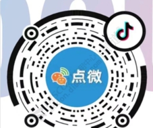 [点微]抖音小程序 抖音小程序前端代码 V3.0.4[点微抖音版小程序前端上传源码代码包最新原版](tom_dyfenlei)