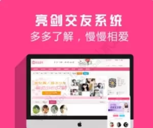 【亮剑】交友系统 2025020701(aljjy)