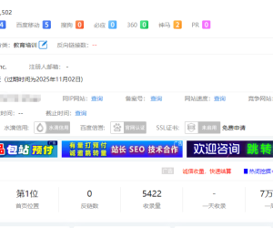 卡在权5了，有什么办法提升一下吗，大佬们