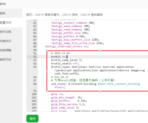 宝塔面板里面重新编译Nginx软件加上google的LZ77 算法Brotli无损压缩实现比Gzip压缩性能更快网页加速性能更好的网站加速模块