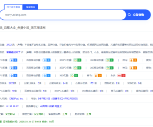 逗号站长评估文韵坊价值2700多