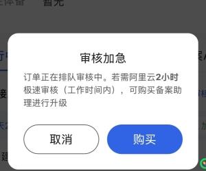 关于BA，你会购买加急审核服务么