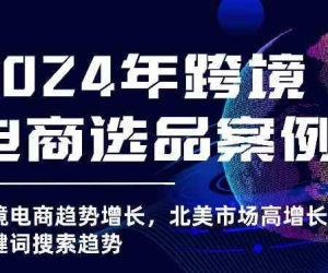 分享一个课程 2024年跨境电商选品案例