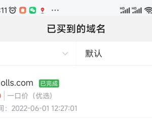 我把一千七百元的域名免费送给了公司