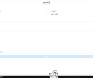 好久没处理对手的排名了....今天一看举报界面变了