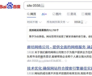 没有BA底子超好   开站10天  百度收录近8万