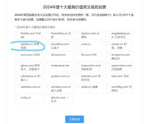 爱名2024年度十大最具价值英文域名投票开始了【apples.cn竟然入选了】