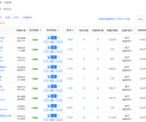 建站做收录大于5000 可以卖连接啊