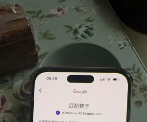 谷歌验证码真麻烦。搞了十分钟没能登上谷歌账号，安全措施蛋疼