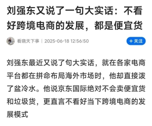 刘强东断言跨境电商必败
