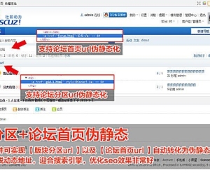 版块分区伪静态SEO 1.5.5(exx_gseo)