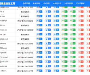 【免费分享】一键批量查询网站权重工具