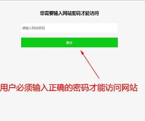 网站密码访问 正式版 20200407_2.3(nciaer_webpwd)