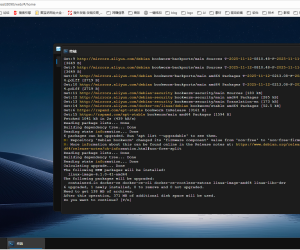 GMSSH服务器里的浏览器上线！操盘从0~1短视频爆火，分享操盘经验！