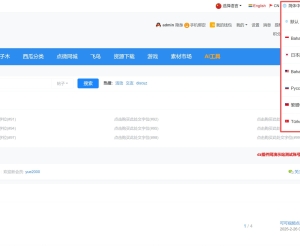 DZ插件网演示站已完成进一步的X5.0模板多语言切换功能原生版移植到第三方模板[可供任何第三方模板和插件套用]