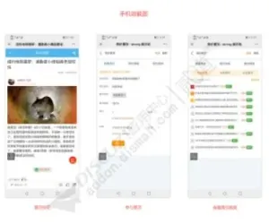 Discuz! 帖子竞价置顶 商业版1.1(strong_stick)