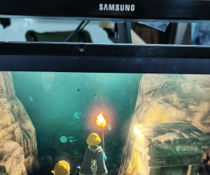 我的王国之泪卡带回来了！嘻嘻