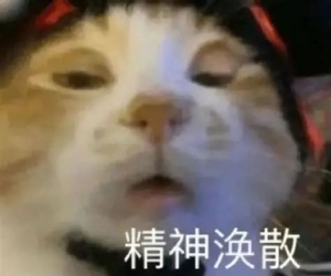 有的网站不是卖不掉，是缘分还没到