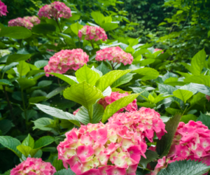 探讨下大家的生财之道