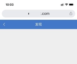 X3.5手机页面，输入网址默认进入是发现页，点首页按钮无法跳转到首页
New

