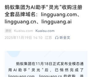 蚂蚁集团为AI助手“灵光”收购注册全套品牌域名：lingguang.com 等