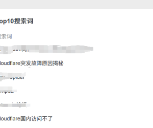 做新闻类的网站绝对流量很大