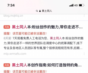 各位，网站没效果真不是你没有能力