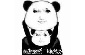 国内访问低延迟的国外服务器推荐
