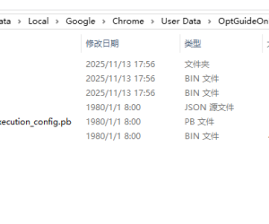 你的Google Chrome或已经成Gemini的免费AI算力节点！