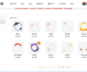 VIP头像挂件 V1.3.1(hl_pendant)