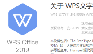 大家在使用wps那个版本