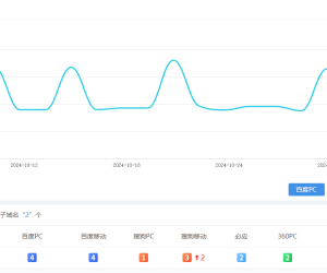 做了几个月seo，我这个技术还行吧