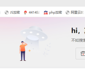 接了一单，定制WordPress访问密码验证插件
