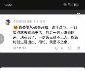 过个年而已，是真的累，比做站赚钱累多了