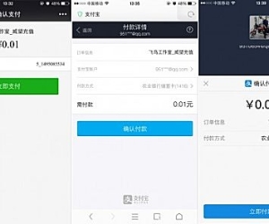 【飞鸟】支付中心 独享版 1.8.8(fn_pay)