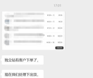 独立站效果还可以