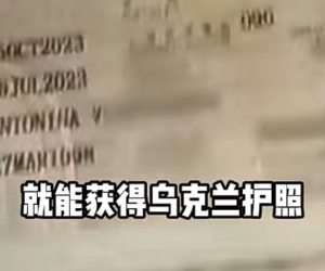 这是发财项目呢，还是纯调侃模式呢？