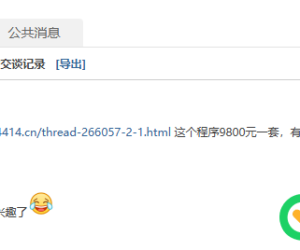 我滴个乖乖，现在词典站源码这么贵了？9800一套