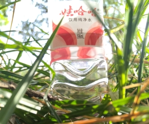 抖音账号怎么才能流量上来！