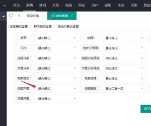 苹果CMS伪静态请教。