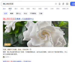 行业数据中心，百度这是什么意思，难道知道自己的AI不靠谱