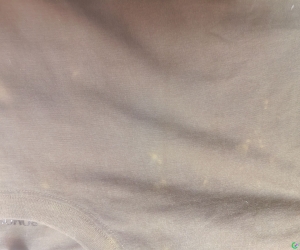 罗蒙以次充好坑害消费者