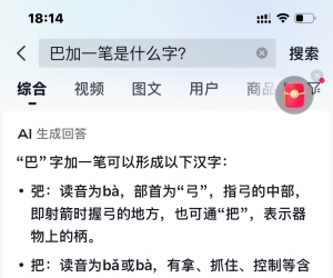 @豆包 巴加一笔是什么字？