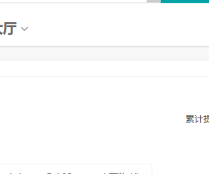 看到老坛的提现记录刚去查询我的提现记录，感谢4414