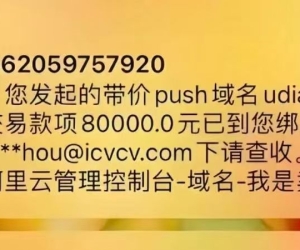 做站累死 还不如卖个域名